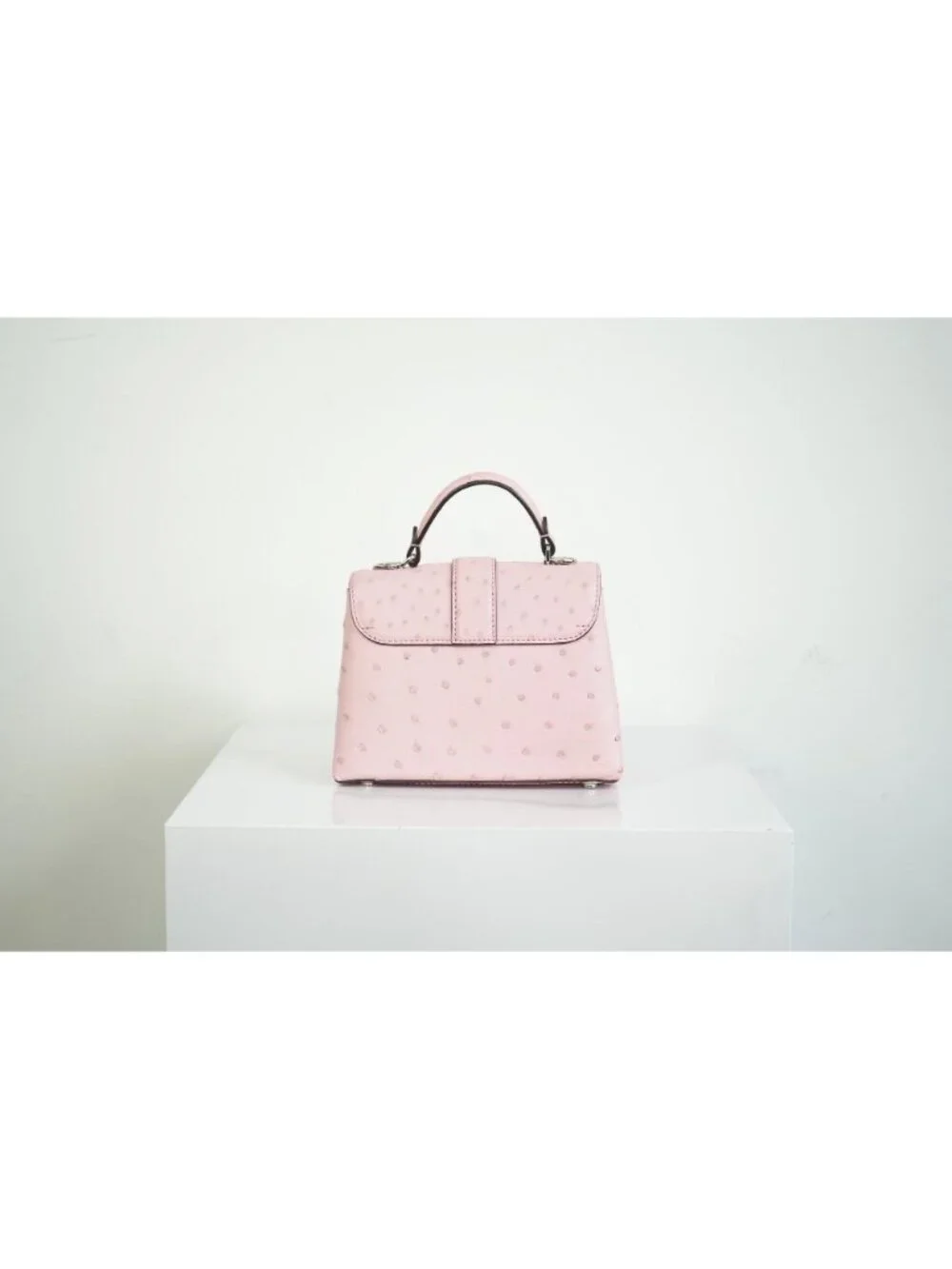 Louis Vuitton Mini Ostrich Rose De Vents ostrich skin